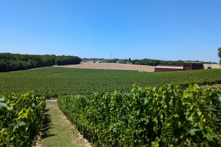Château le Raz