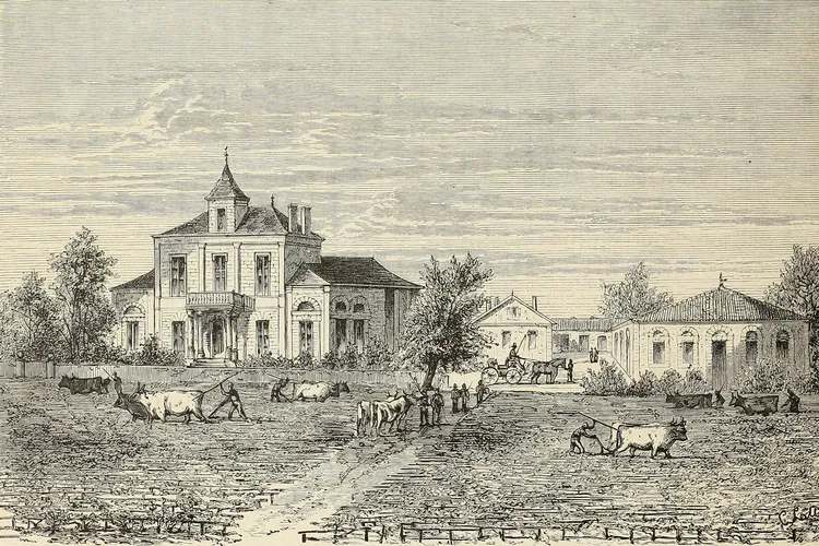 Château Montrose