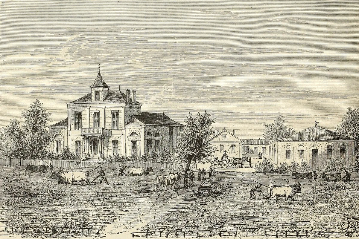 Château Montrose