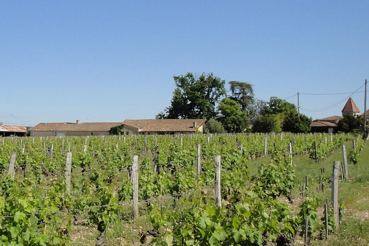Château Rabaud-Promis