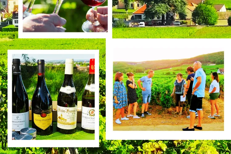 Clos de Bourgogne