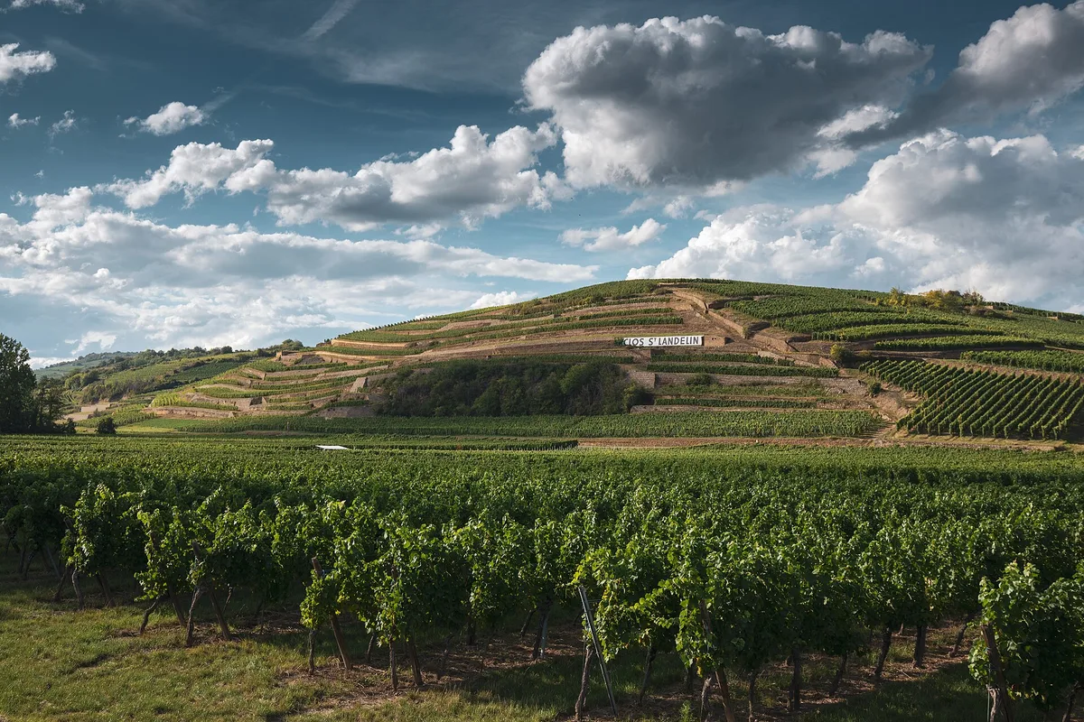 Winery Clos Saint Landelin