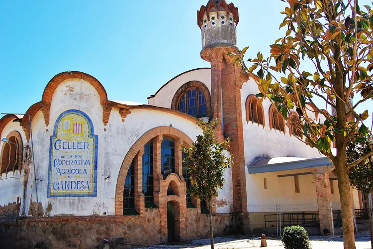Cooperative Wine Cellar (Gandesa)