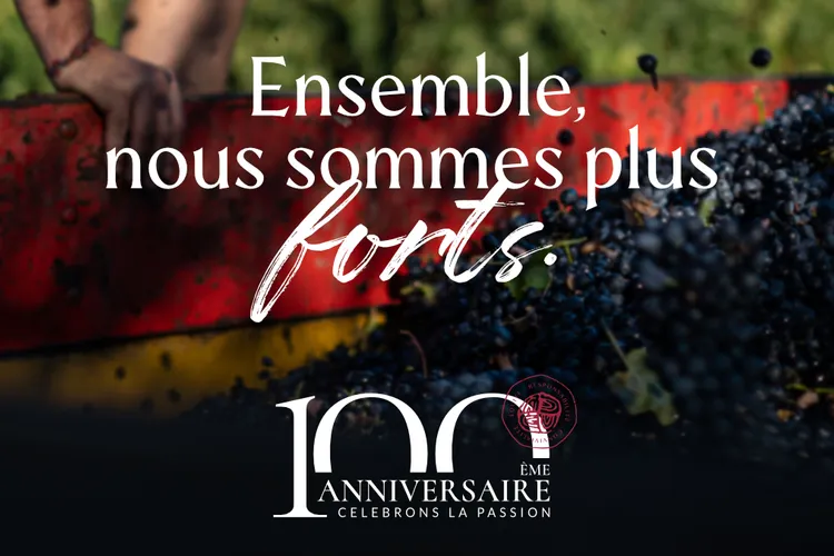 Winery Dom Brial
