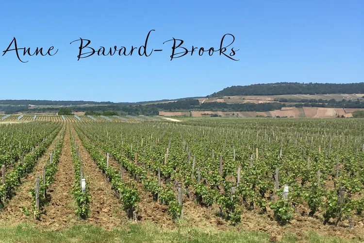 Domaine Anne Bavard-Brooks