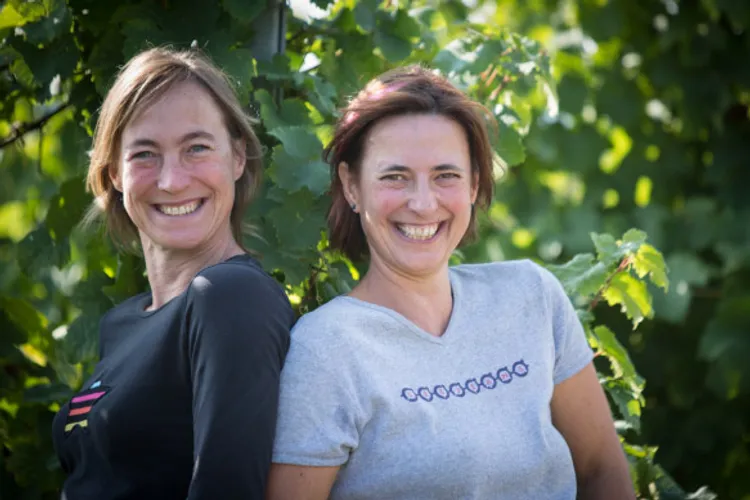 Domaine Edelweiss - Hubert Blumstein