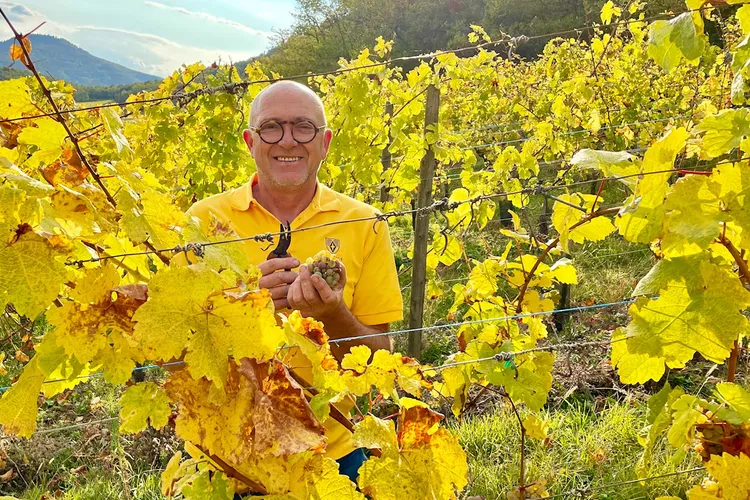 Domaine Jean-Paul Schmitt
