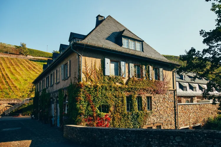 Domäne Assmannshausen, Weingut Kloster Eberbach