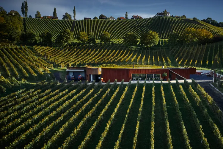 Winery Ducal