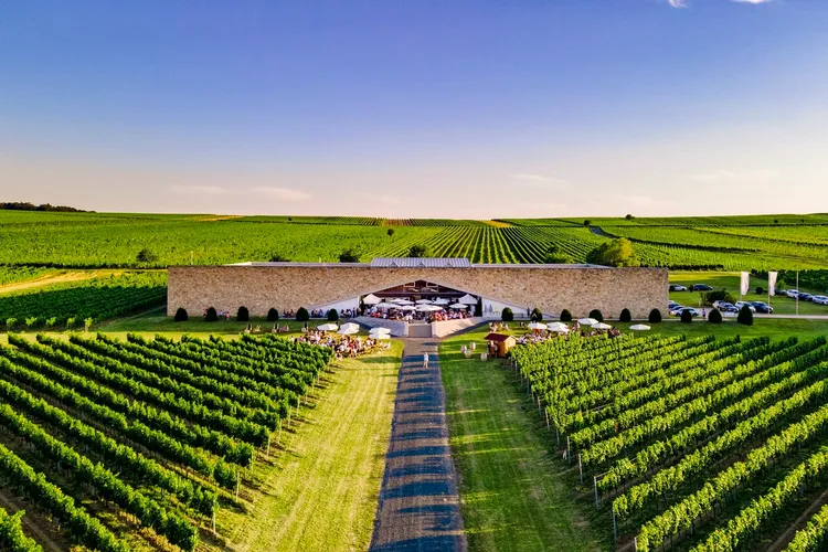 Winery Eichenwald Weine