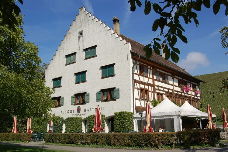 Winery Haltnau