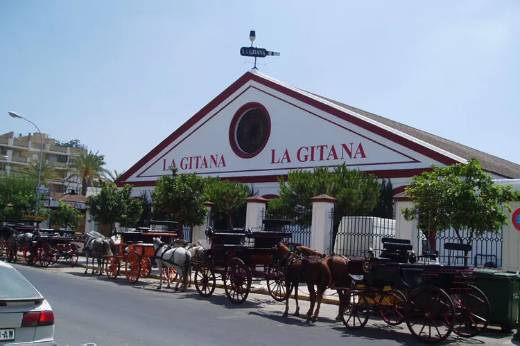 Winery Hidalgo