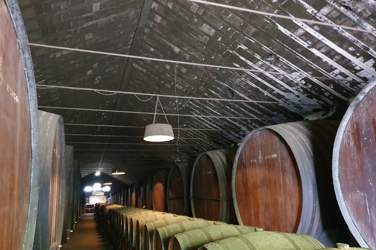 Winery José Maria da Fonseca