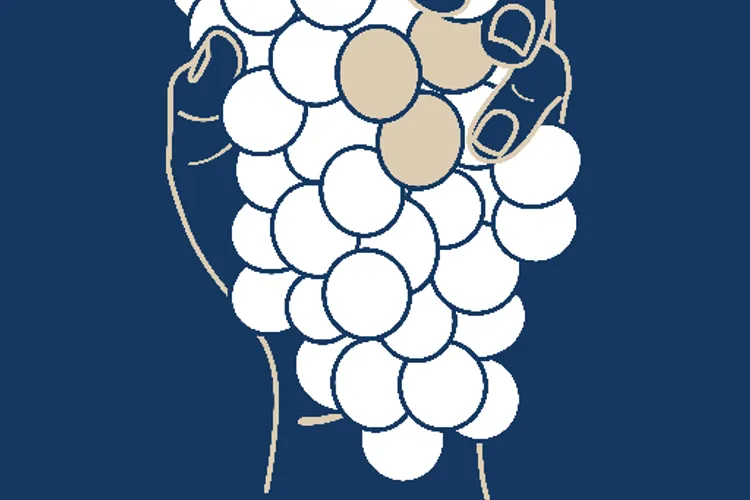 Winery La grappe