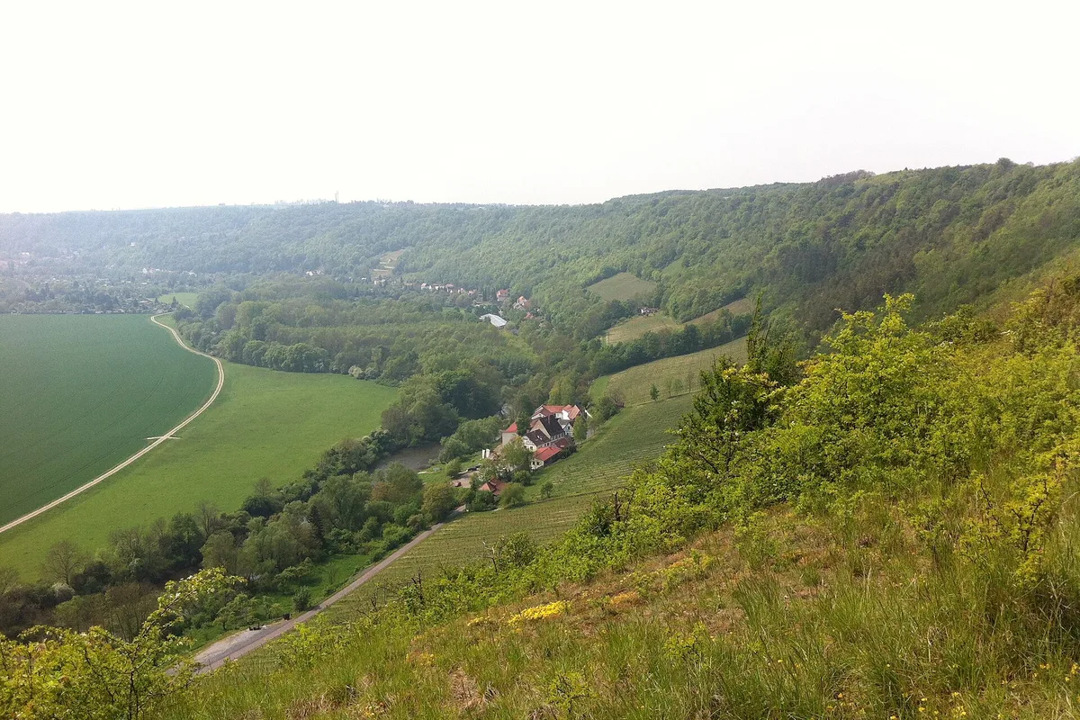 Winery Landesweingut Kloster Pforta