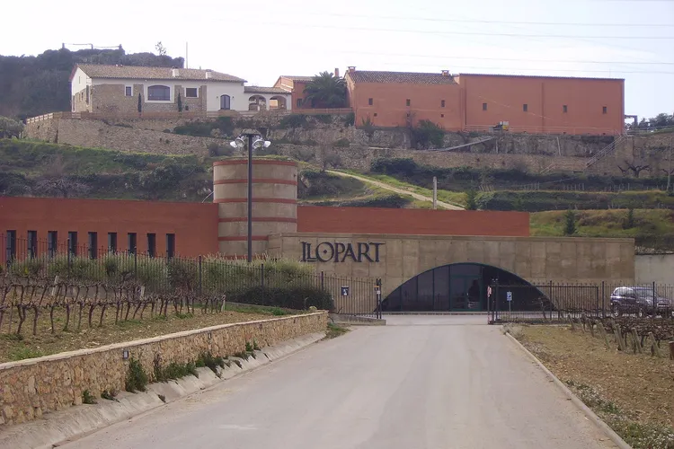 Winery Llopart