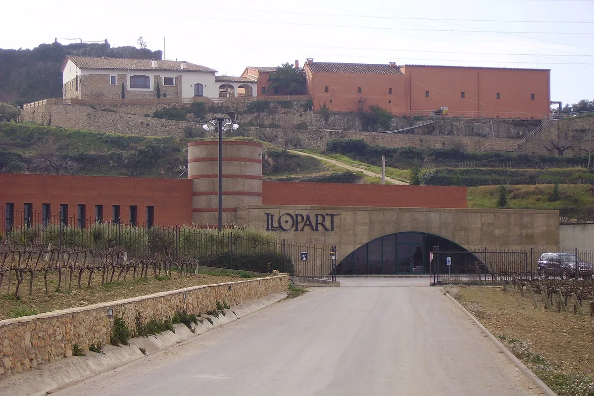 Winery Llopart