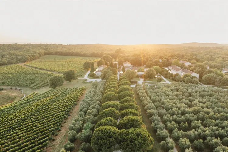 Winery Meneghetti