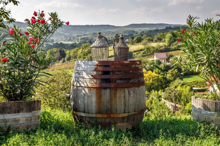 Winery Nèmeth János Pincészet