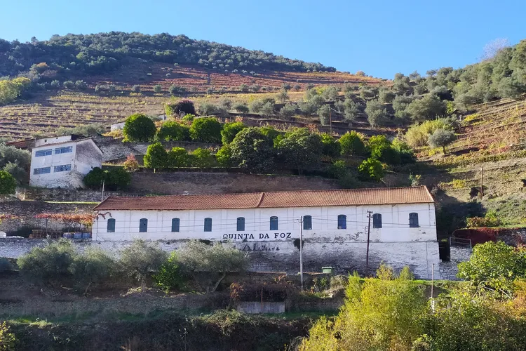 Winery Quinta da Foz