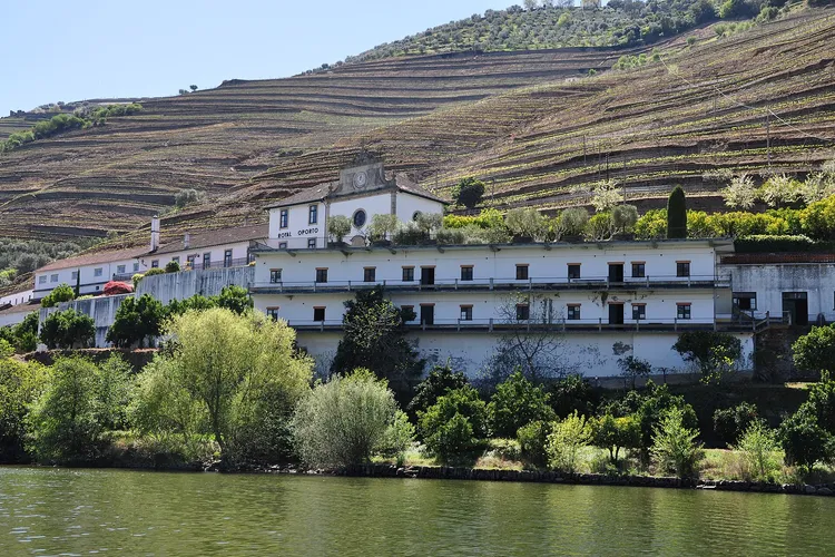 Winery Quinta das Carvalhas