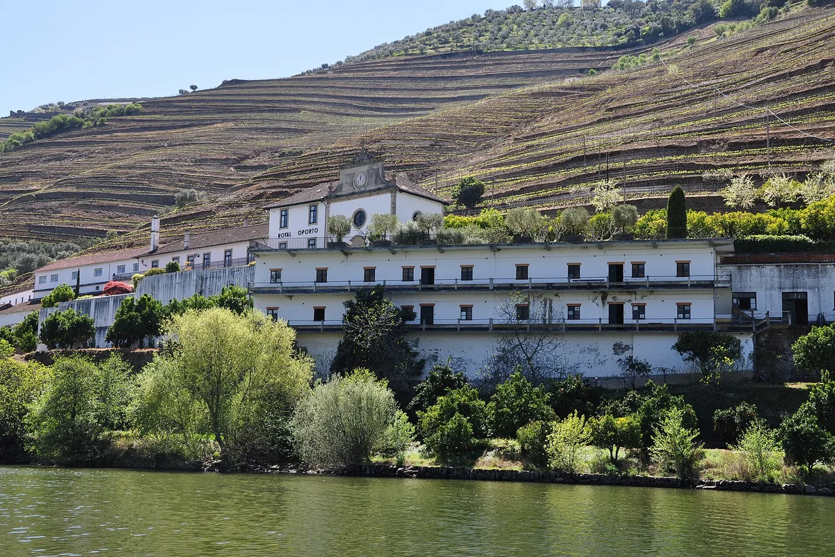 Winery Quinta das Carvalhas