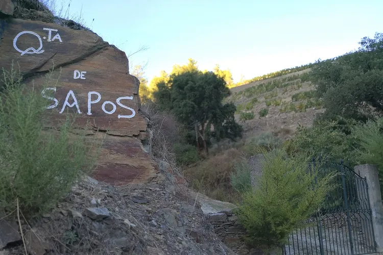 Quinta de Sapos