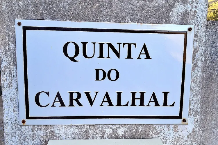 Winery Quinta do Carvalhal