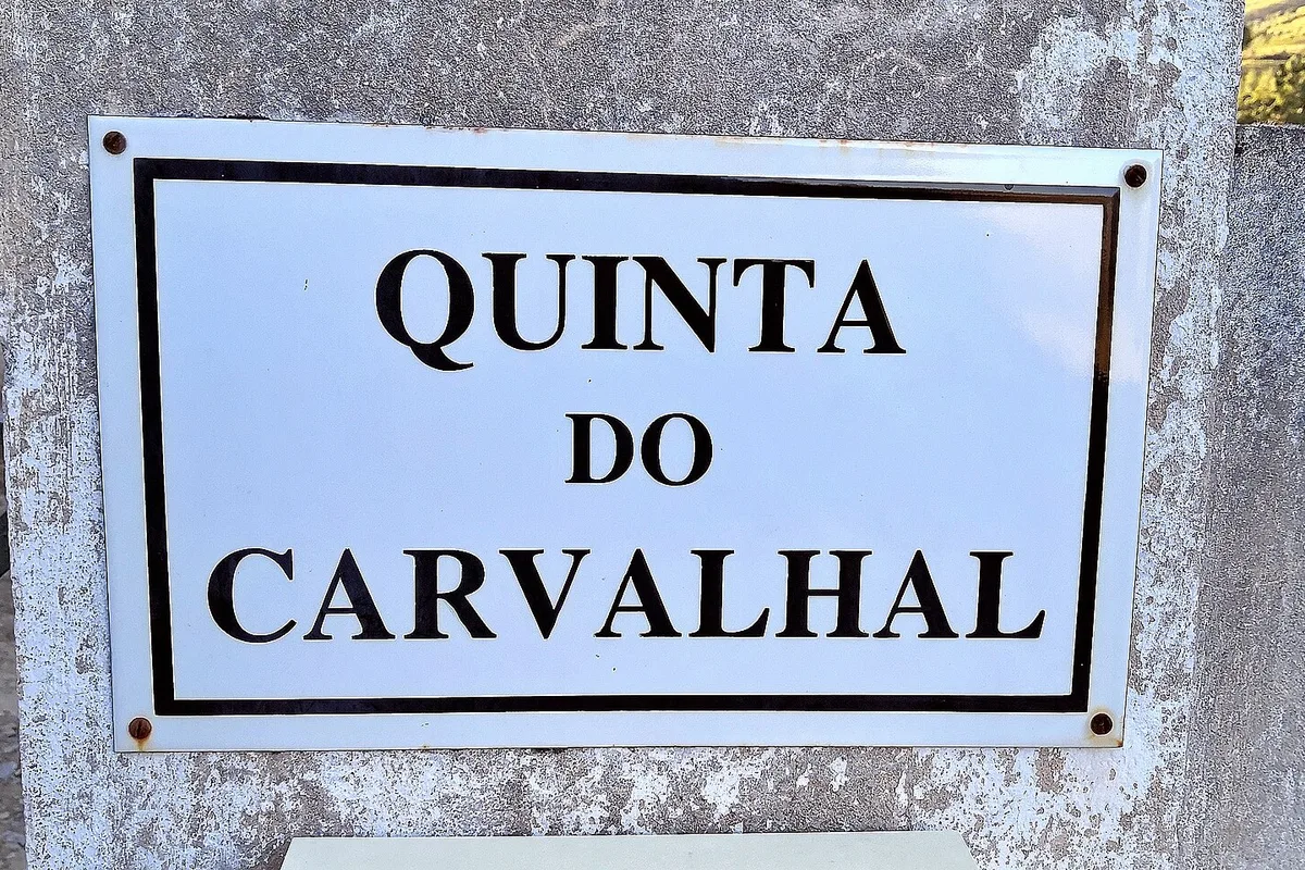 Winery Quinta do Carvalhal