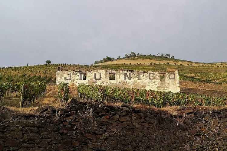 Winery Quinta do Junco