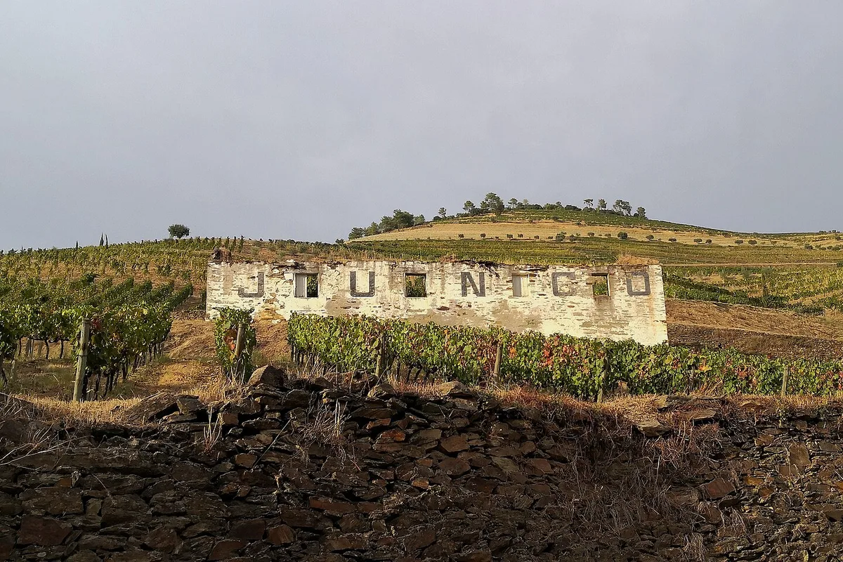 Winery Quinta do Junco