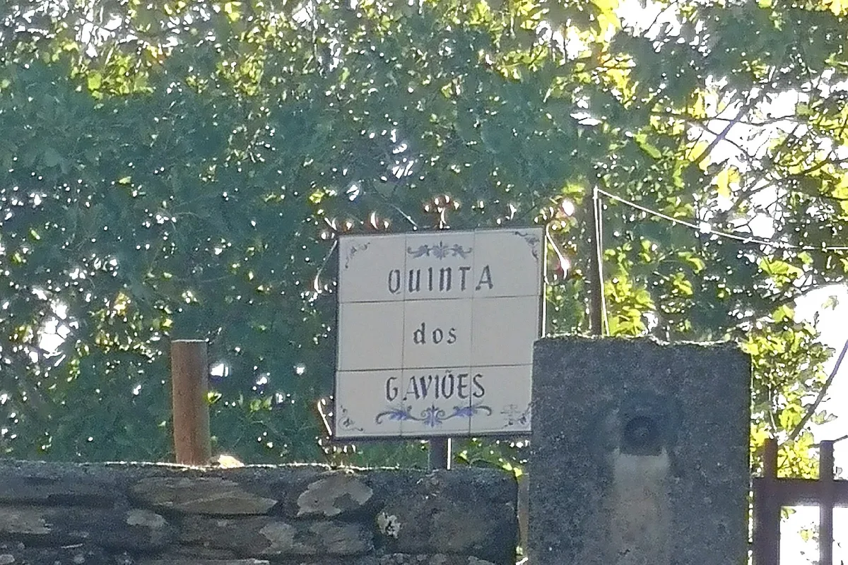 Winery Quinta dos Gaviões