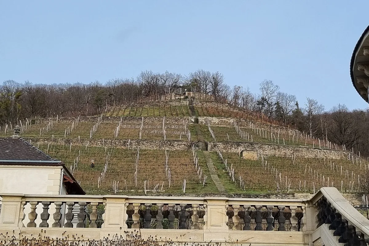 Winery Rysselsches Weingut