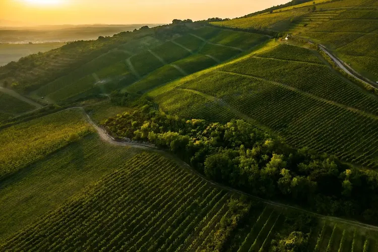 St. Andrea Wine Shop