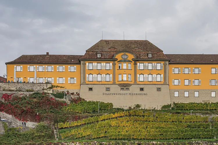 Winery Staatsweingut Meersburg
