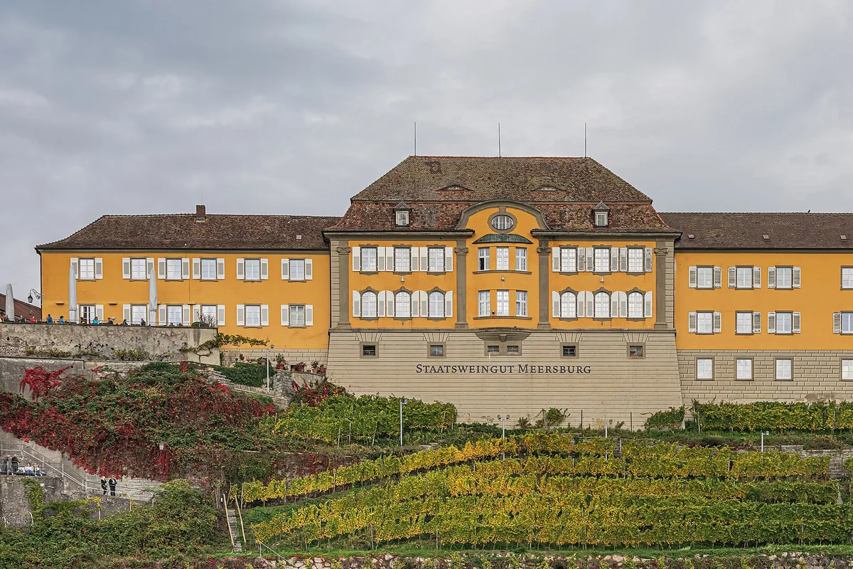 Winery Staatsweingut Meersburg