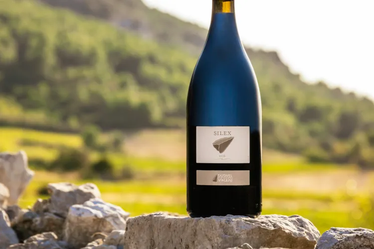 Terres plurielles des vins singuliers