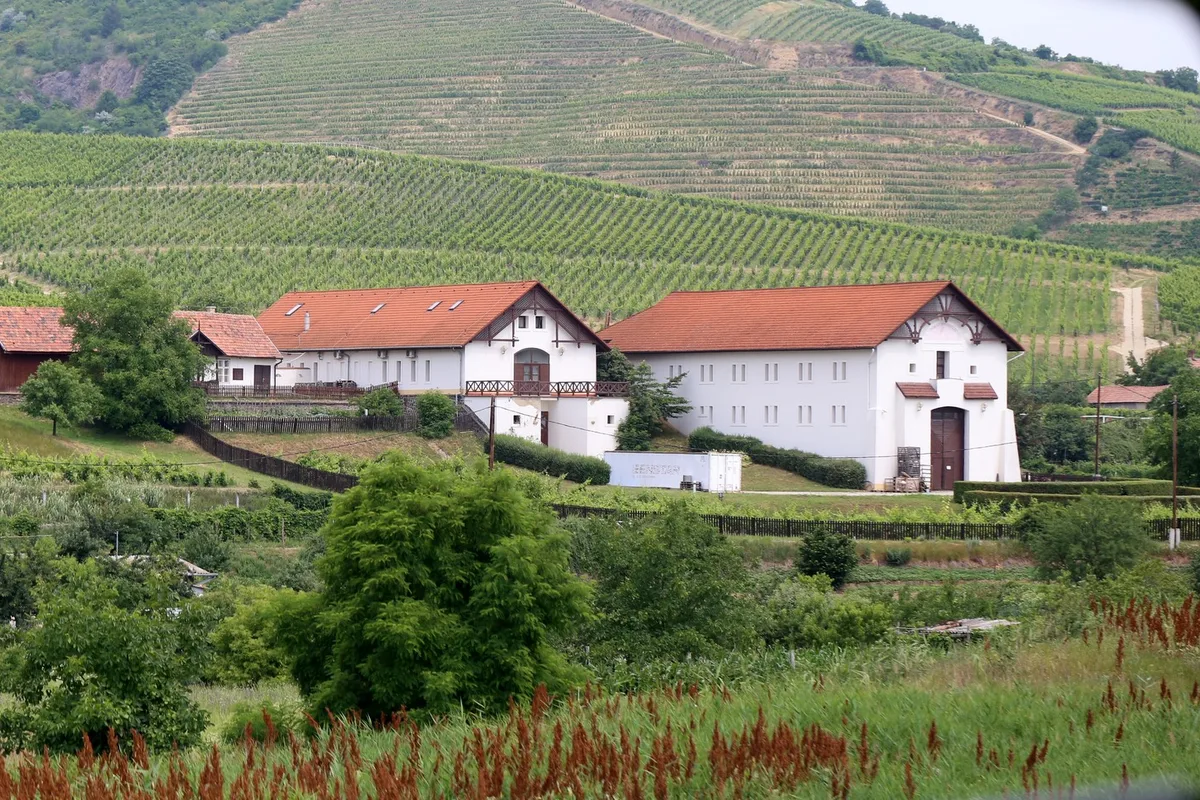 Winery Tokaj-Hétszőlő