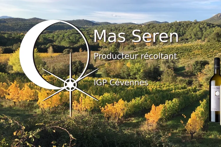 Winery Vignoble Mas Seren