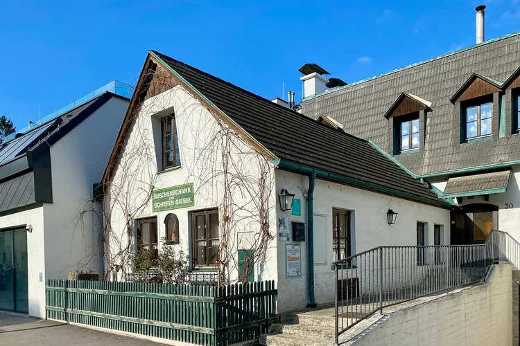 Weinbau und Buschenschank Schiefer Giebel
