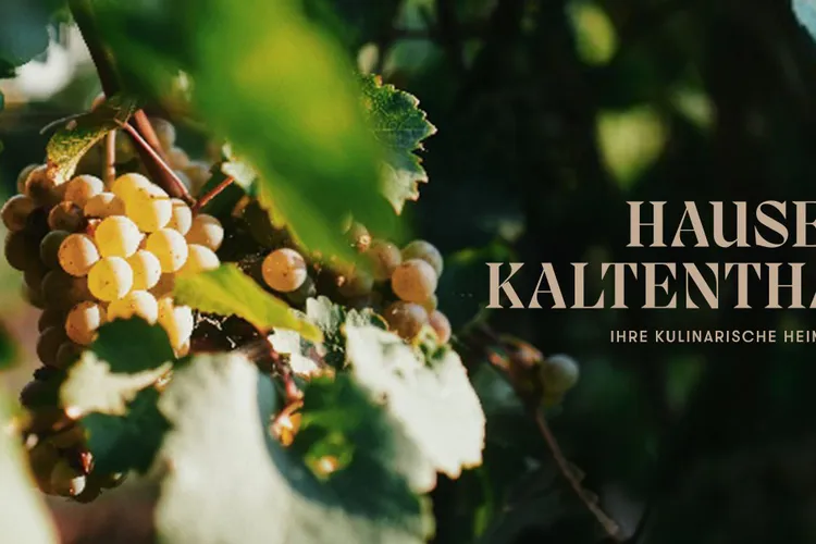Winery Weingalerie Kaltenthaler
