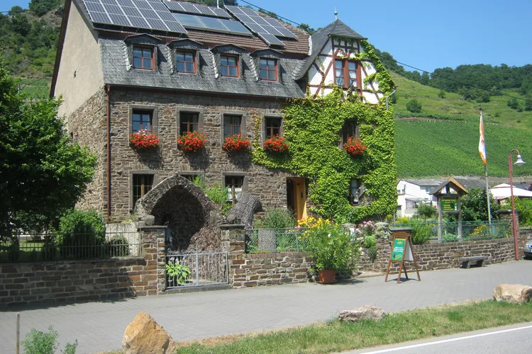 Winery 1869 Brunnenhof