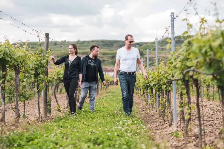 Winery Aigner
