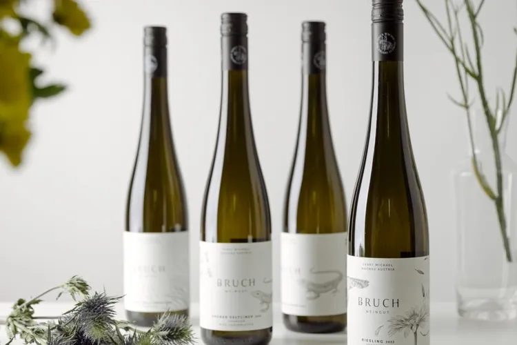 Winery Bruch