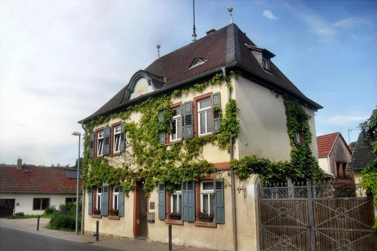 Winery Brüder Dr. Becker