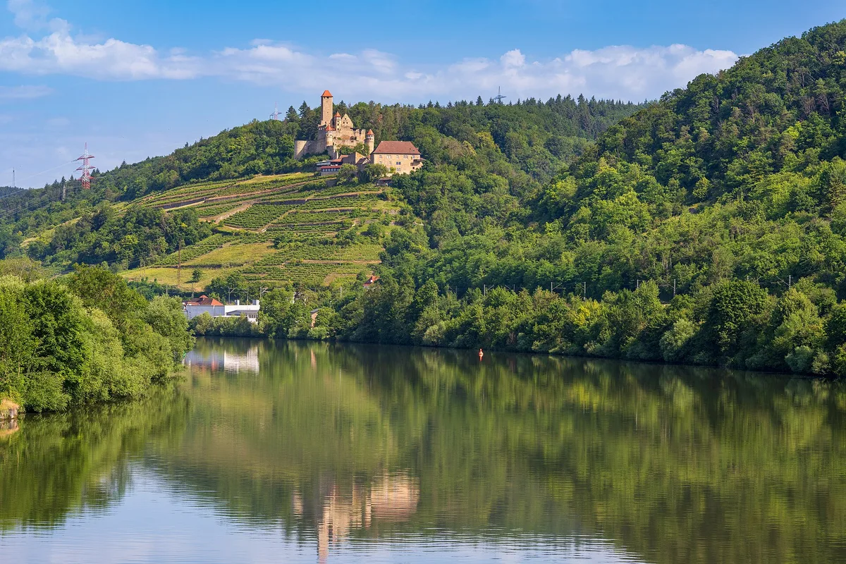 Winery Burg Hornberg