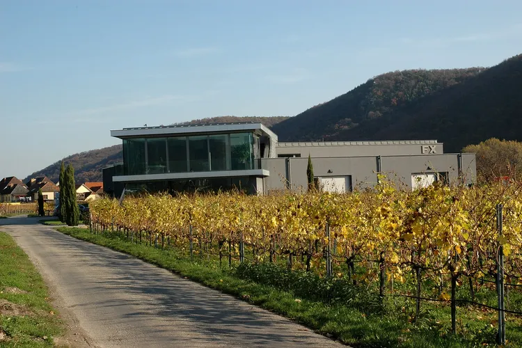 Winery F. X. Pichler