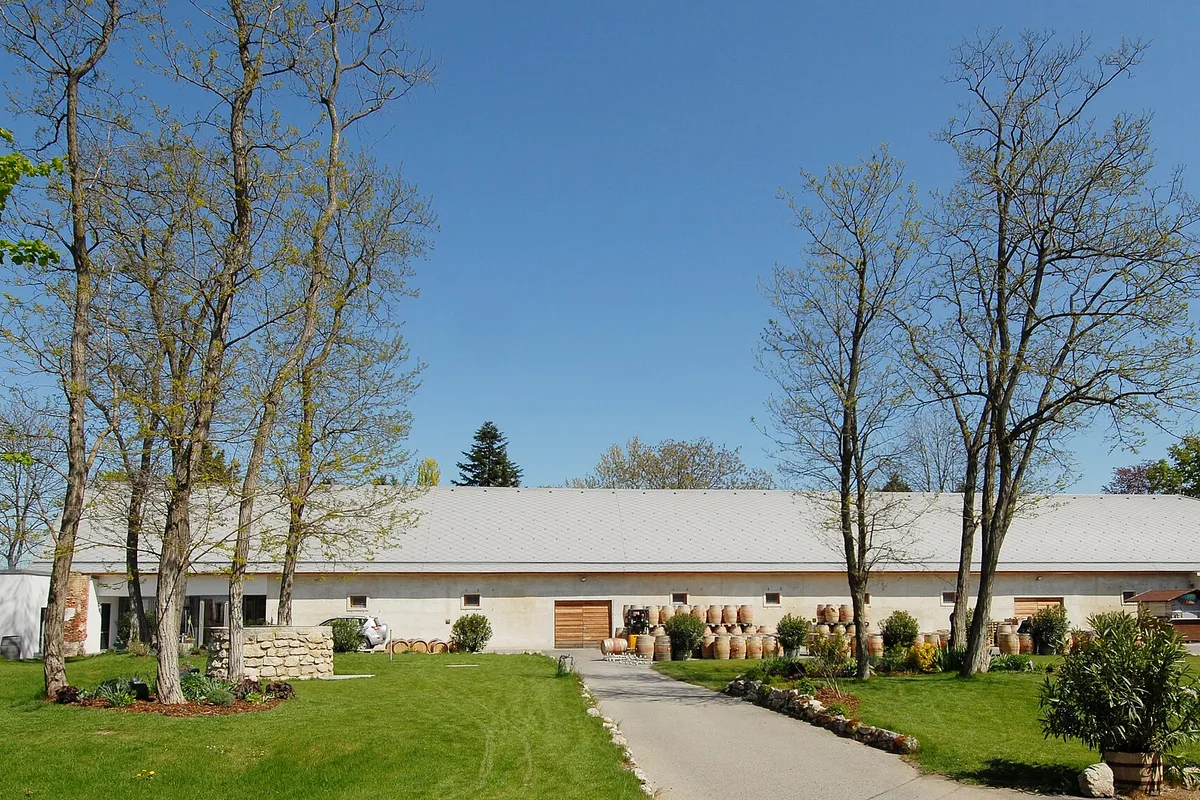 Winery Hans Igler
