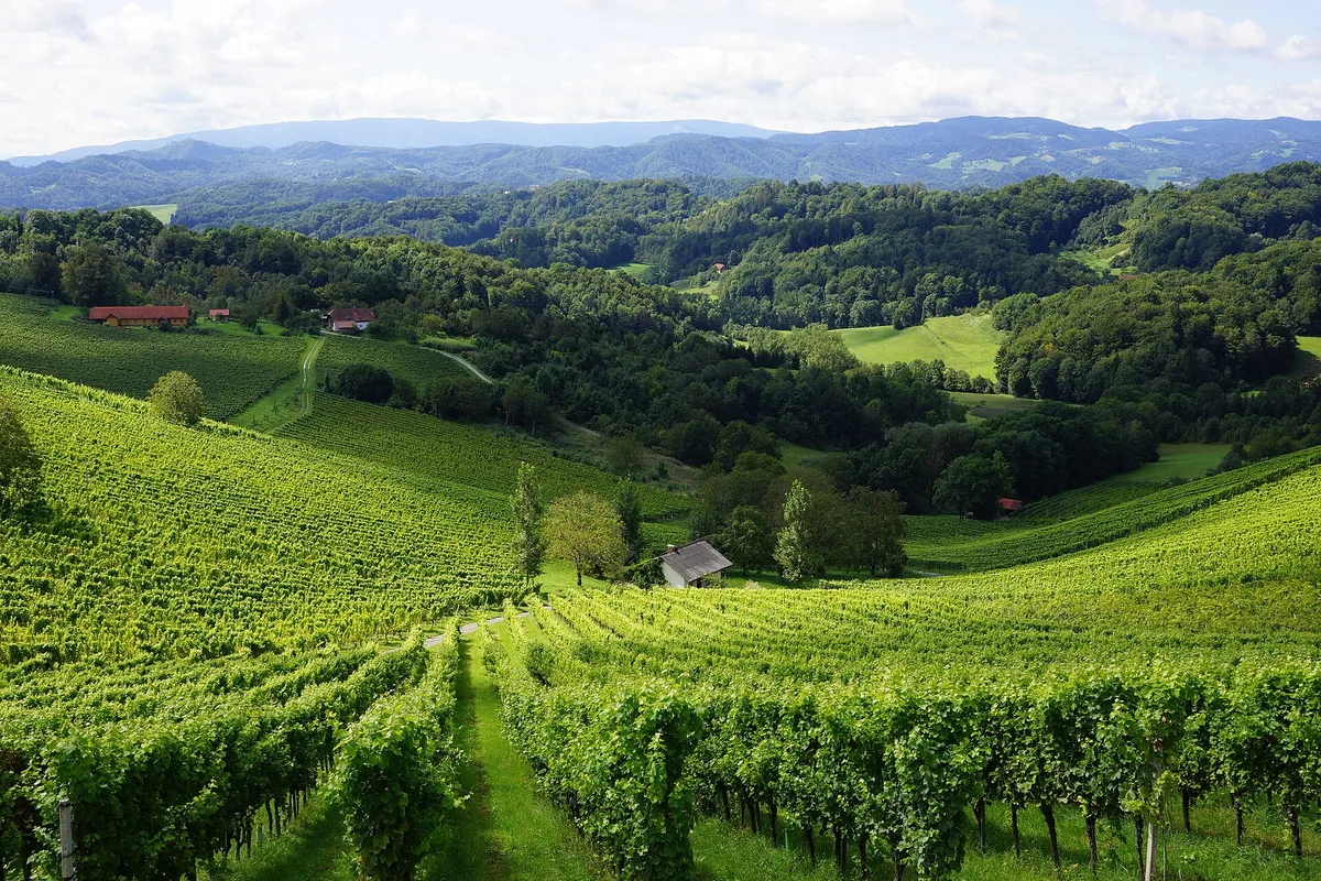 Winery Manfred Tement