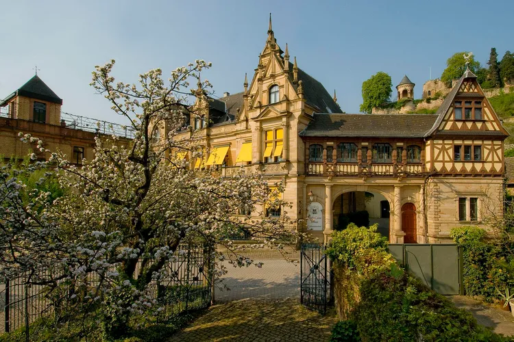 Winery Müller-Catoir